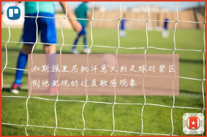 加斯佩里尼批评意大利足球对禁区倒地犯规的过度敏感现象