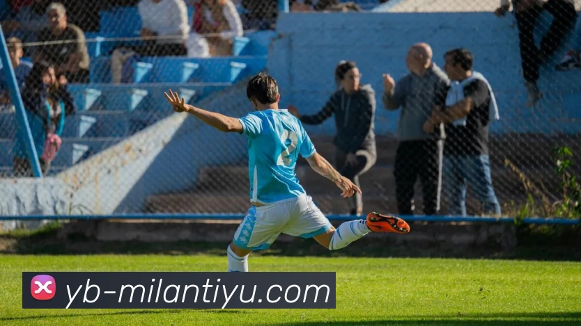 米兰体育平台生态图