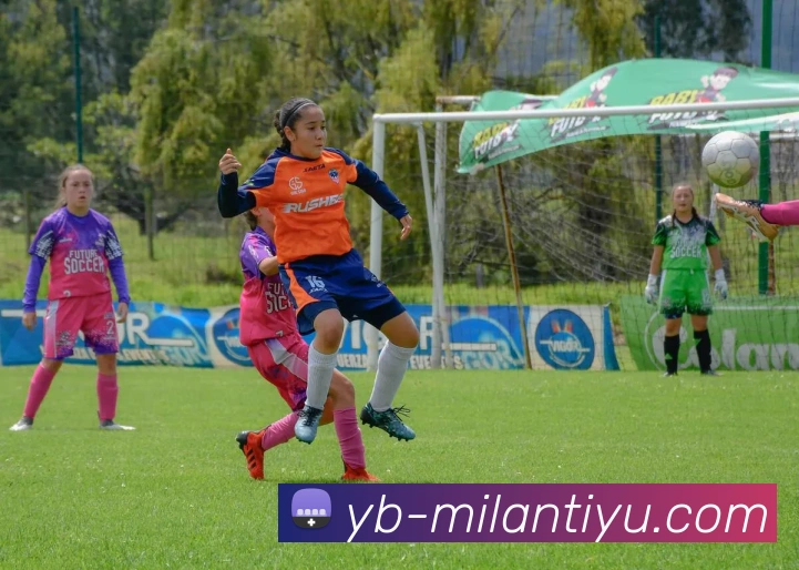 米兰体育全站App